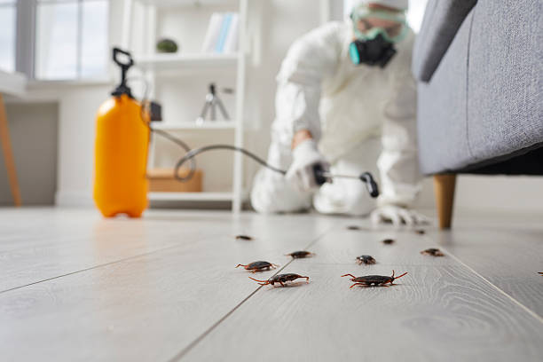 Commercial Kitchen Cockroach Control in Grand Saline